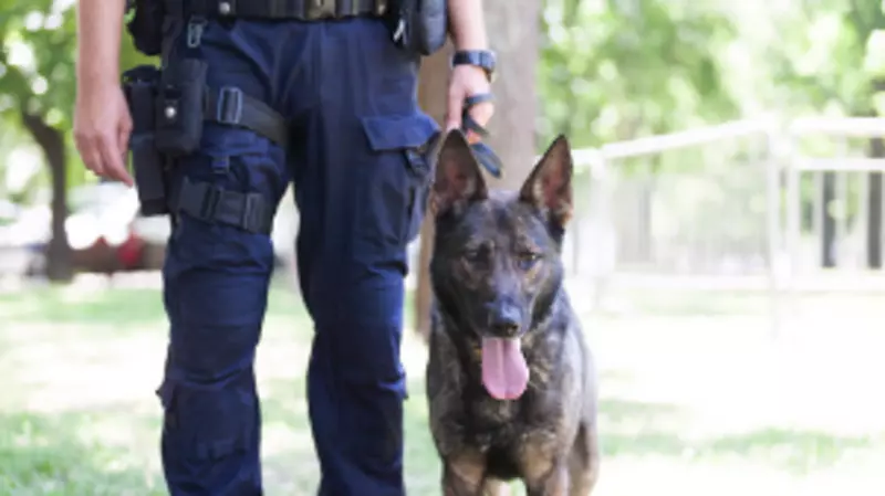 Правоохранители завершили проверку в «заминированных» детских садах Сахалина