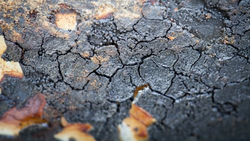 Третье за сутки землетрясение произошло у берегов Южных Курил