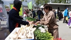 Садоводам Южно-Сахалинска назвали места для продажи излишков урожая