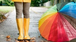 Прогноз погоды на Сахалине и Курилах на 28 сентября: умеренный дождь, туман и ветер