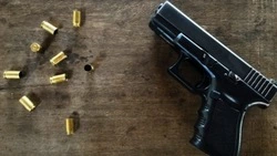 Количество совершенных преступлений на Сахалине и Курилах сократилось на 5% 