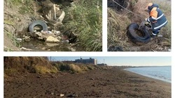 Прокуратура заставила чиновников убрать свалку на берегу залива Анива