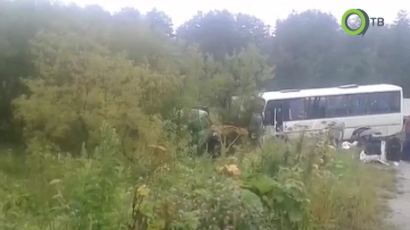 Пострадавшим в ДТП пассажирам автобуса на Сахалине положены выплаты за ссадины и переломы