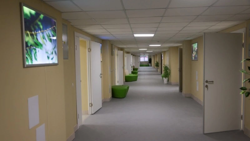 Новое сердце медицины