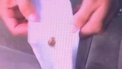 ГИБДД задержала жителя Смирных с пакетом наркотиков 4 октября