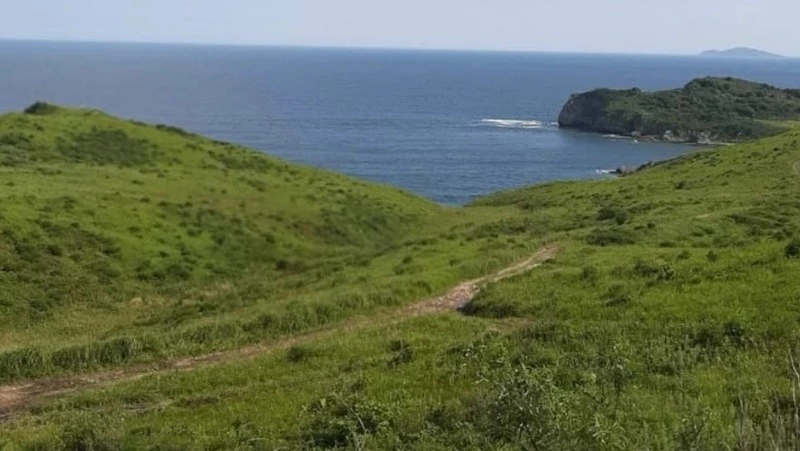 Жители Сахалинской области проголосовали отпусками за ТОП-10 пляжей Находки