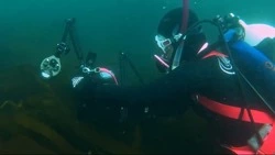 «Море помнит»: команда Dive Photo Team спустилась в воды острова Шумшу 