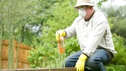 Нарушения в работе с пестицидами нашли у совхоза «Южно-Сахалинский»