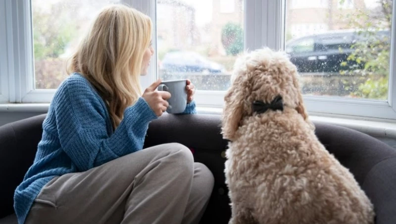 Сильный дождь и подъем уровня воды прогнозируют на юге Сахалина