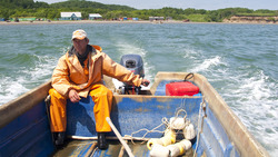 Рыбакам Сахалина запретили ловить горбушу в месте, где она выбрасывается на берег. «Состояние шока»