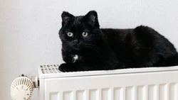 Детский сад и три дома в Южно-Сахалинске остались без отопления и горячей воды 12 января