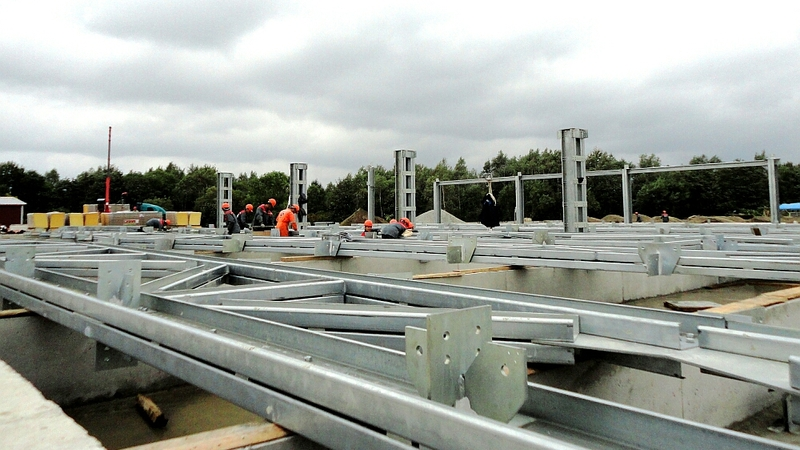 Больше на 12 тысяч голов