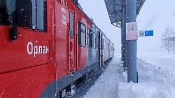 Несколько пригородных поездов на Сахалине возобновили движение 30 января 