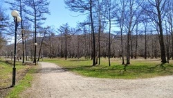 В парке Южно-Сахалинска проведут обработку от грызунов, насекомых и клещей