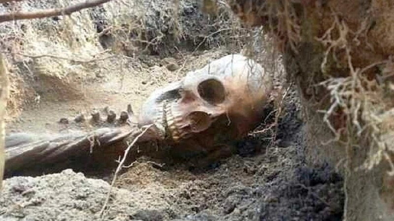 Южносахалинцы нашли скелет бомжа в заброшенном гараже