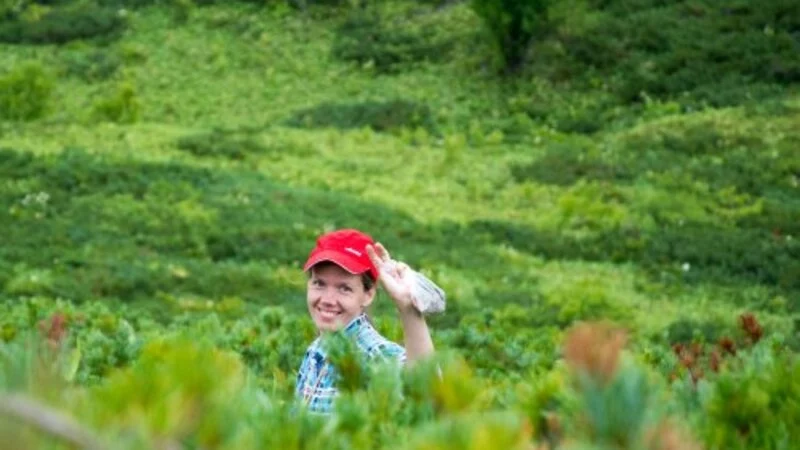 Курильские лишайники и мхи изучили сотрудники ИМГиГ