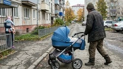 Рецидивист из Южно-Сахалинска тюнинговал краденую детскую коляску