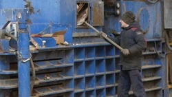 Как правильно утилизировать бумагу? Расскажем в программе «Среда обитания» 17.11.22