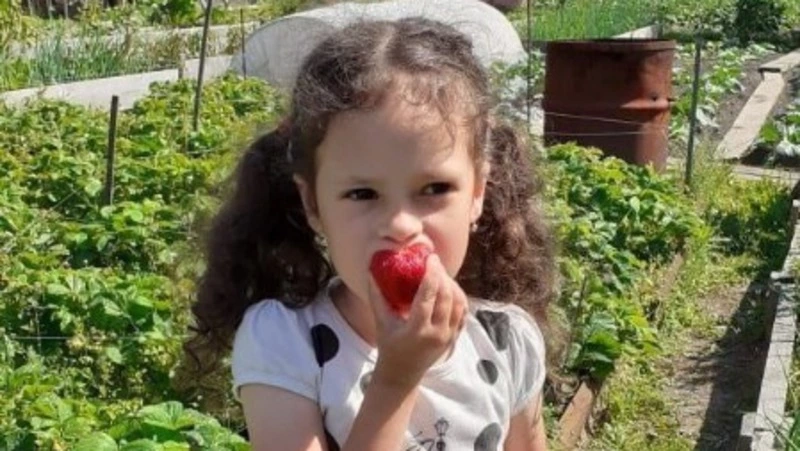 «Островной урожай» от Sakh.online: объявляем победителей фотоконкурса