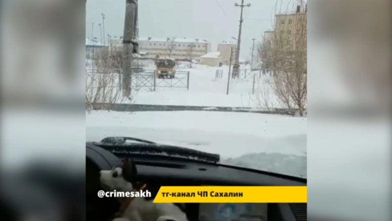 «Аж сердце замирает»: на Сахалине автобус с детьми устроил дрифт на скользкой дороге