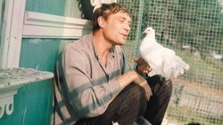 Тест по фильму «Любовь и голуби»: только настоящий знаток ответит на все 10 вопросов
