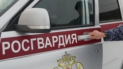 Женщина избила полицейского после похода в ресторан в Холмске