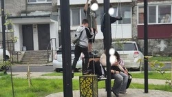 Мэр Анивского района пристыдила ломающих качели и деревья отдыхающих