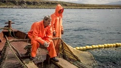 Рыбаки Сахалина подали в СКТУ первые заявки на распределение участков лова