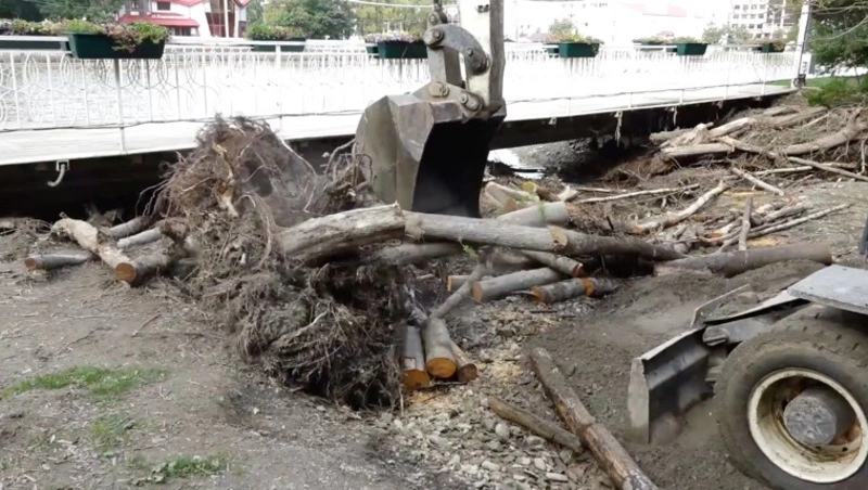 Парк имени Гагарина в Южно-Сахалинске опроверг информацию о раздаче древесины