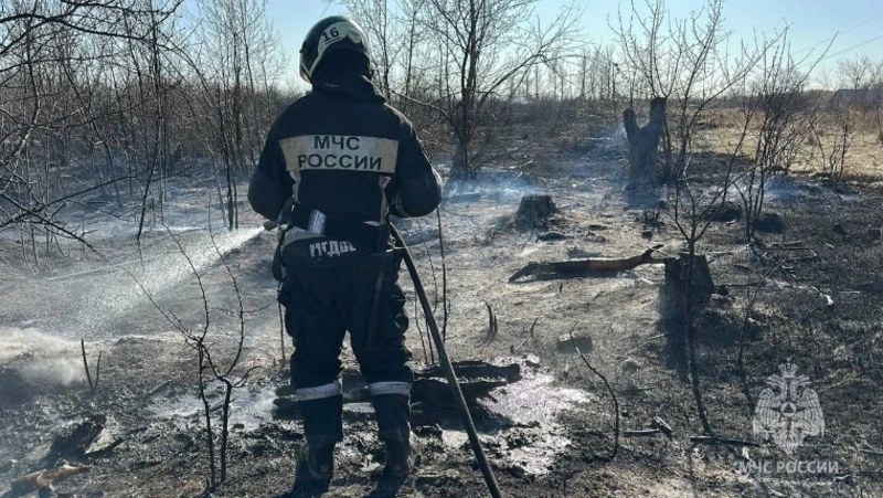 День пожарной охраны 2025: история и традиции праздника, поздравления