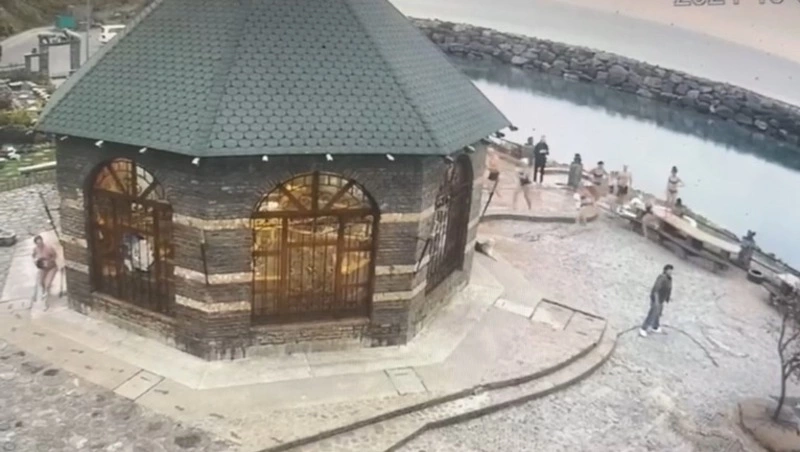 Собака на Курилах отогнала медведя от туристов 