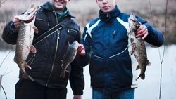 Двое браконьеров пойдут под суд за вылов 38 лососей в Корсаковском районе