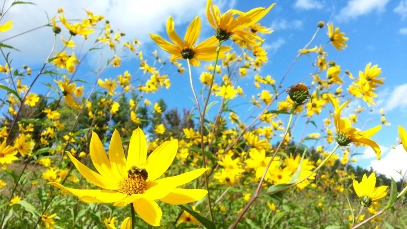 Мэр Северо-Курильска призвал земляков сплотиться и поддержать народы Донбасса