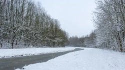 Морозы до -31 градуса на Сахалине и метели на Курилах прогнозируют 19 декабря