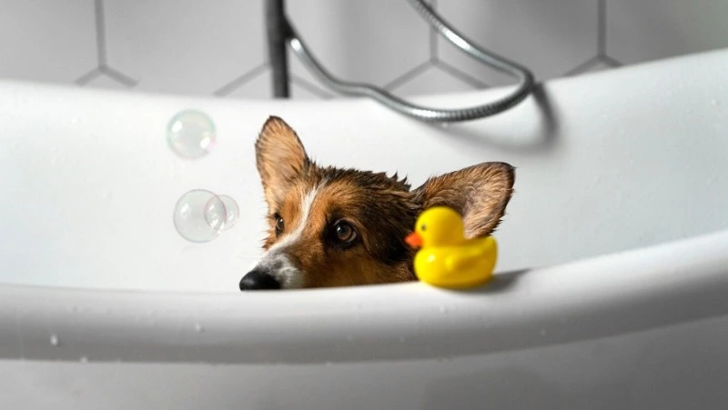 Часть Южно-Сахалинска останется без тепла и горячей воды 6 февраля 