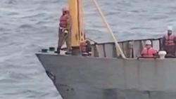 Спасатели Росрыболовства отбуксировали аварийный траулер от Курил