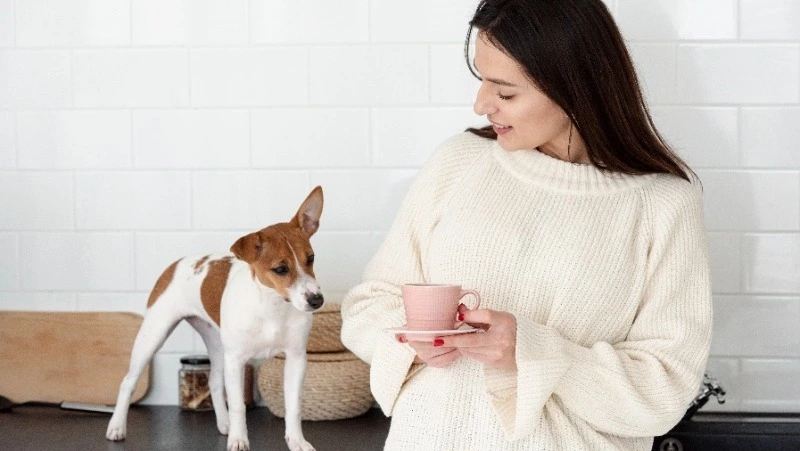 Владельцам собак напомнили о серьезном вреде кофе для питомцев