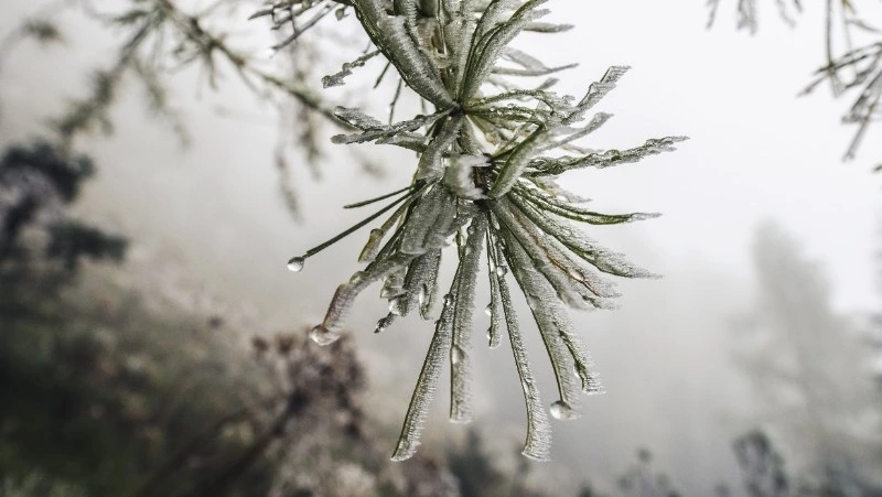 Небольшой снег будет падать в Южно-Сахалинске 21 марта