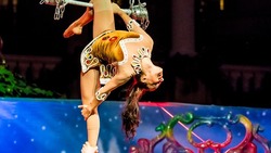 Гастролирующий цирк не может найти на Сахалине пластичных девушек