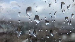 Дождь и плюсовую температуру спрогнозировали для Южно-Сахалинска