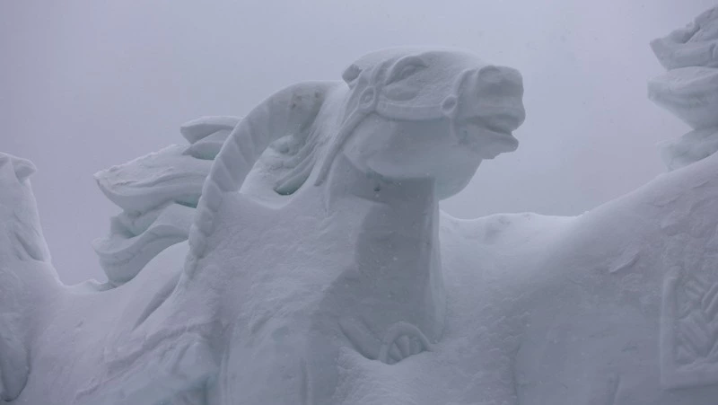 В Южно-Сахалинске 19 февраля будет снежно и пасмурно