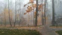 Утренний туман и до +9 градусов ждет жителей Южно-Сахалинска 23 ноября