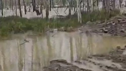 Прокуратура Сахалинской области взяла на контроль ситуацию с паводком в селе Ясном