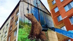 Красивое показывают: новые муралы нанесли на стены МКД в Южно-Сахалинске