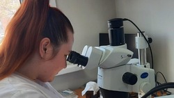 В корюшке из озера Изменчивого нашли паразитических червей 