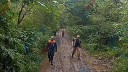 Медведь загнал женщину на дерево в Южно-Сахалинске 26 августа