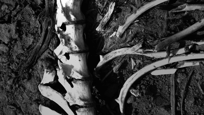 В Тымовском обнаружилась еще одна жертва пожара в доме на Кировской улице