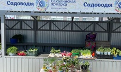 По низким ценам: сельскохозяйственная ярмарка открылась в Южно-Сахалинске