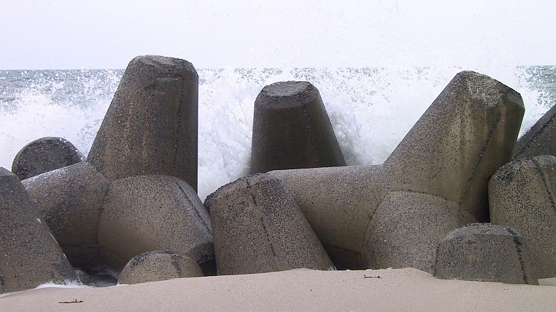 Курильский тетрапод