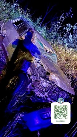 Женщина на Toyota Land Cruiser пыталась объехать животное и вылетала в кювет в Курильском районе 